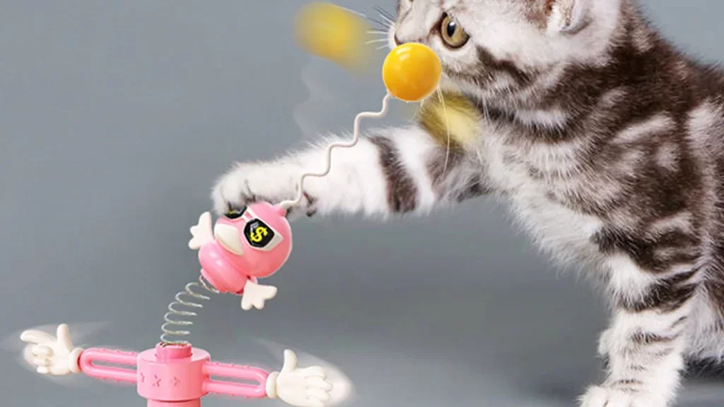 cute cat toys